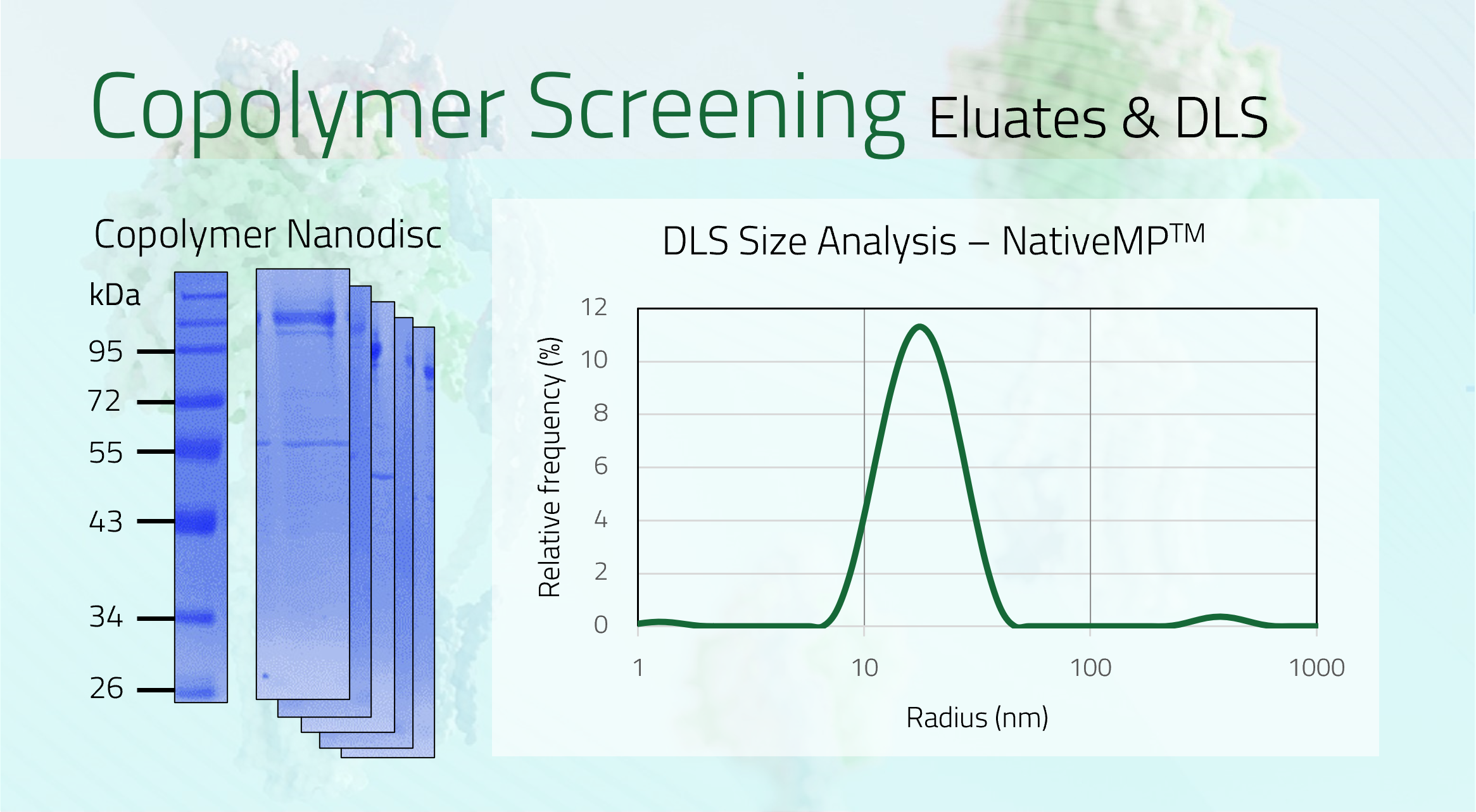 CD163 Eluate +DLS